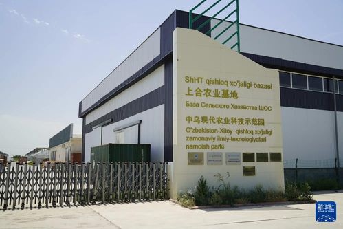 务实耕耘 共同发展 探访乌兹别克斯坦上合组织农业基地中乌现代农业科技示范园与集源科技